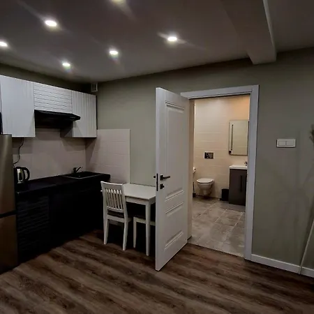 Fabijoniskiu Apartamentai Studija * 维尔纽斯