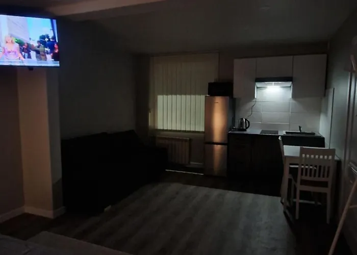 Fabijoniskiu Apartamentai Studija 公寓 维尔纽斯