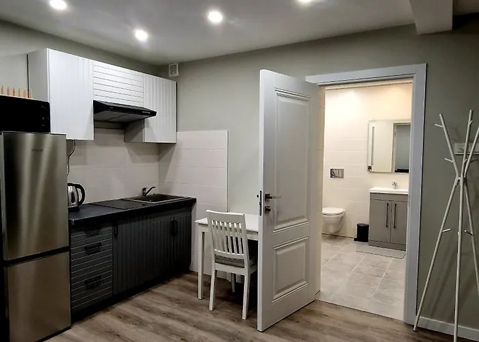 Fabijoniskiu Apartamentai Studija 公寓 维尔纽斯