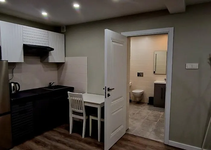 Fabijoniskiu Apartamentai Studija * 维尔纽斯