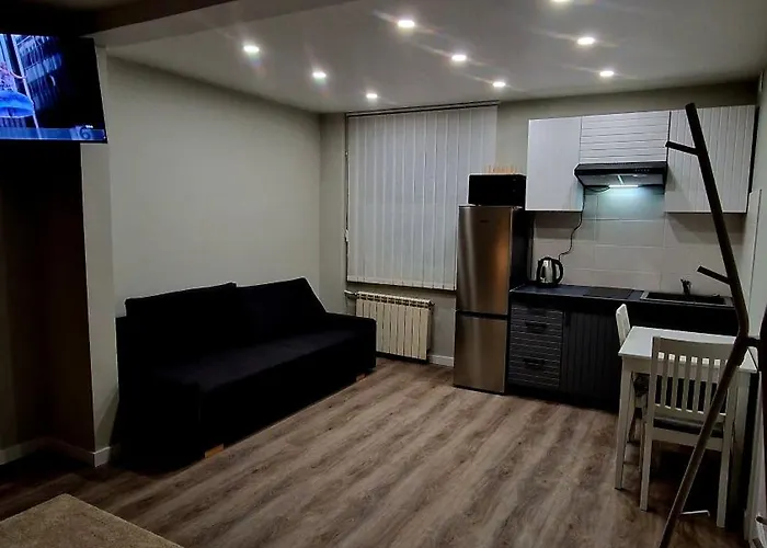 Fabijoniskiu Apartamentai Studija 公寓 维尔纽斯