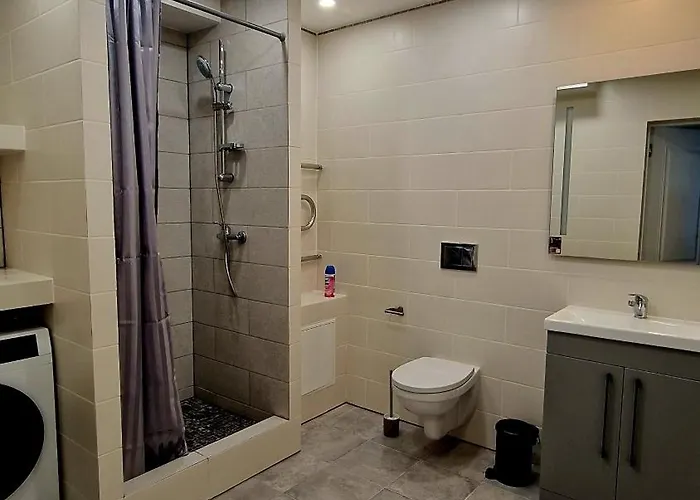 Fabijoniskiu Apartamentai Studija 公寓