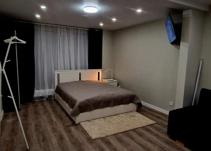 Fabijoniskiu Apartamentai Studija